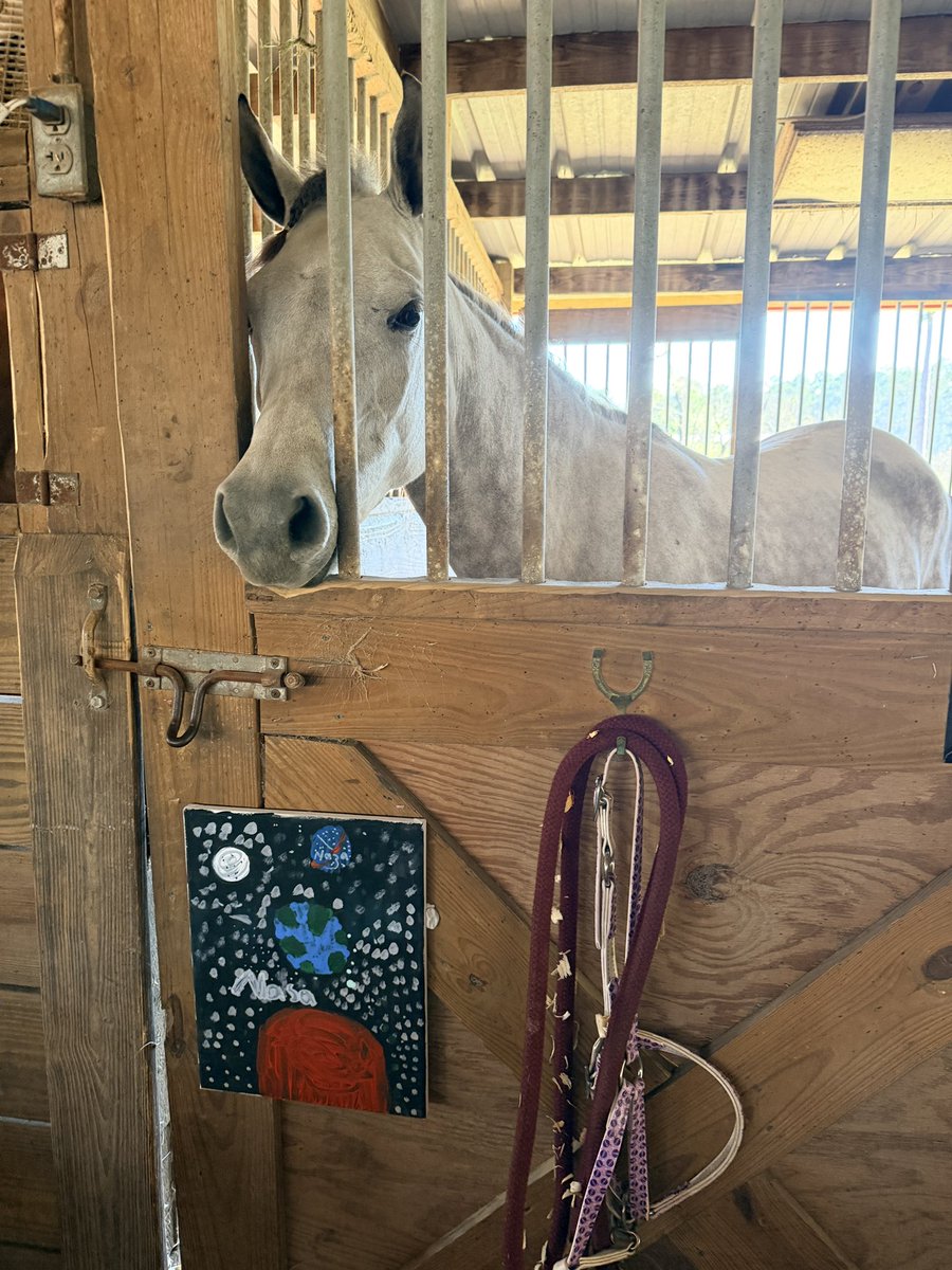 Underworld Arabians tweet media