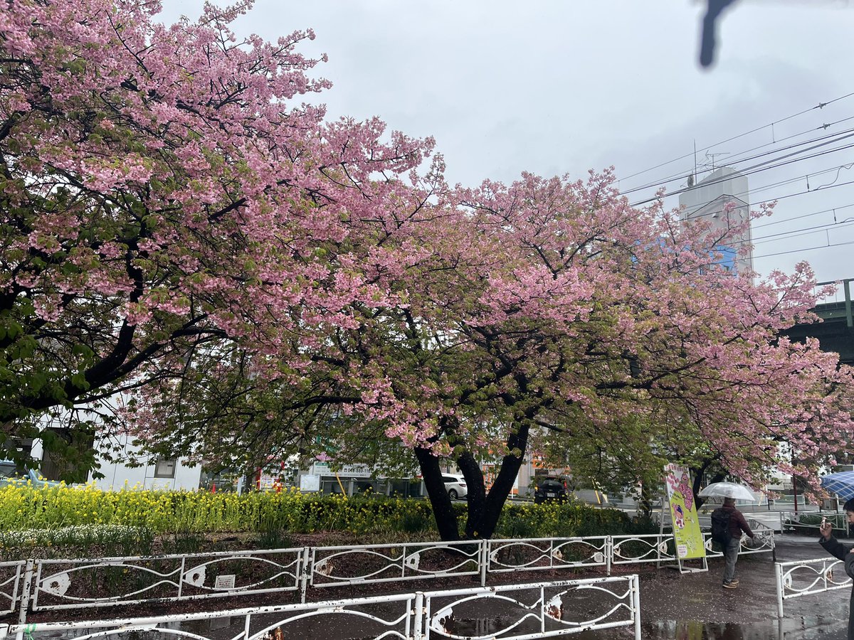 EducateOf's tweet photo. リア友とボーリング行って、最後は同じスコアで着地した笑
三浦海岸も生憎の雨で荒れてた…
来年は桜の咲く時期にリベンジしたいところ。 https://t.co/p4exsBdZta