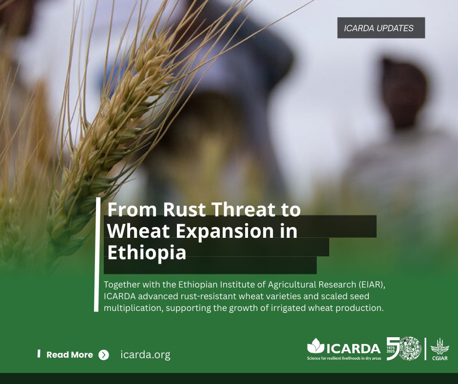 ICARDA tweet media