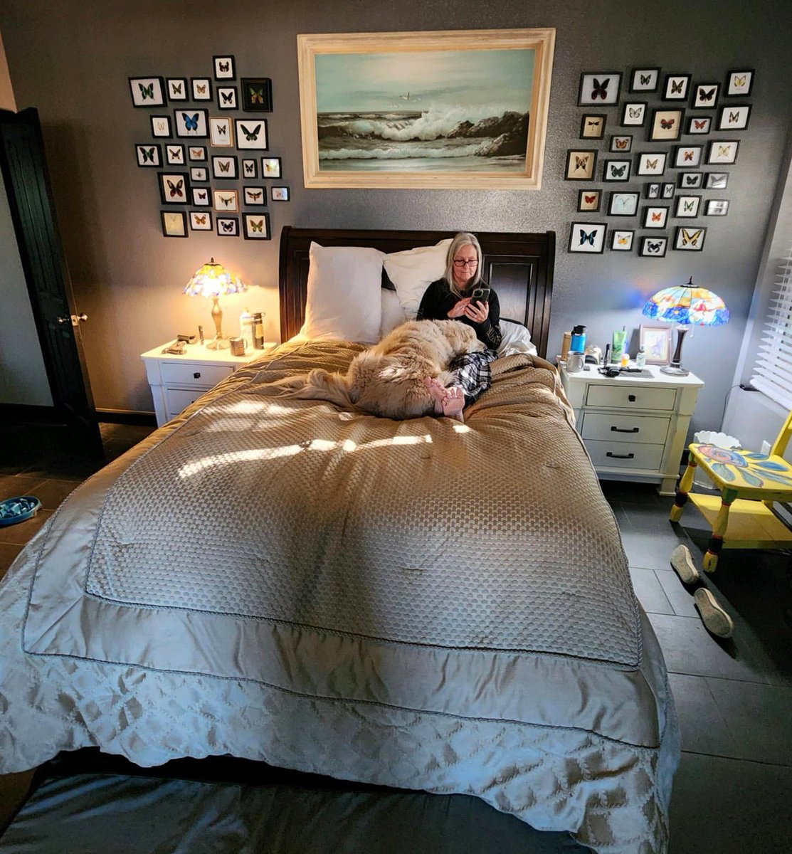 Sampson the Service Dog tweet media