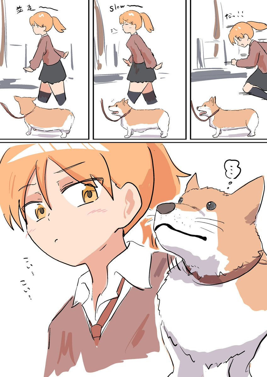 Post by coffee on X: いぬ