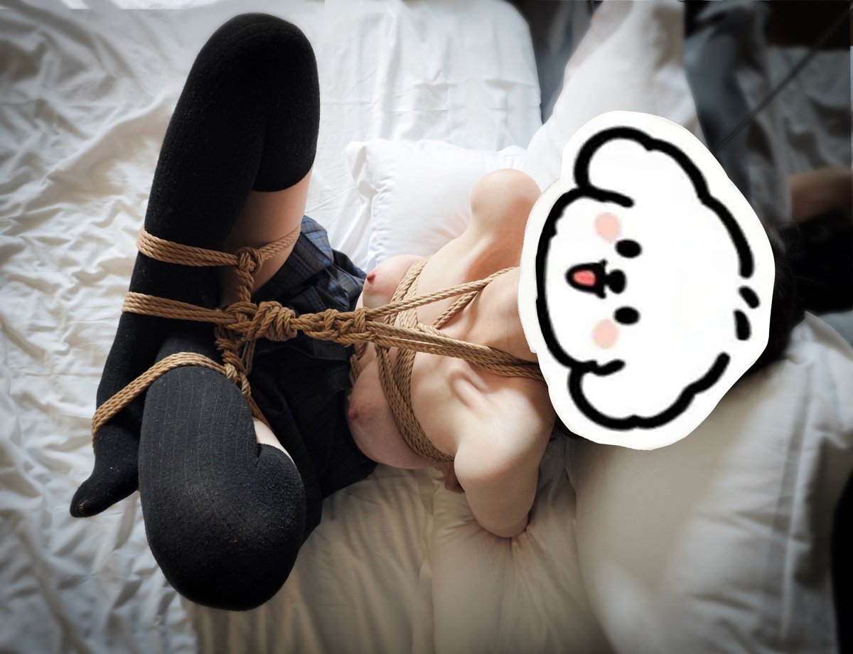 叮当猫 tweet media