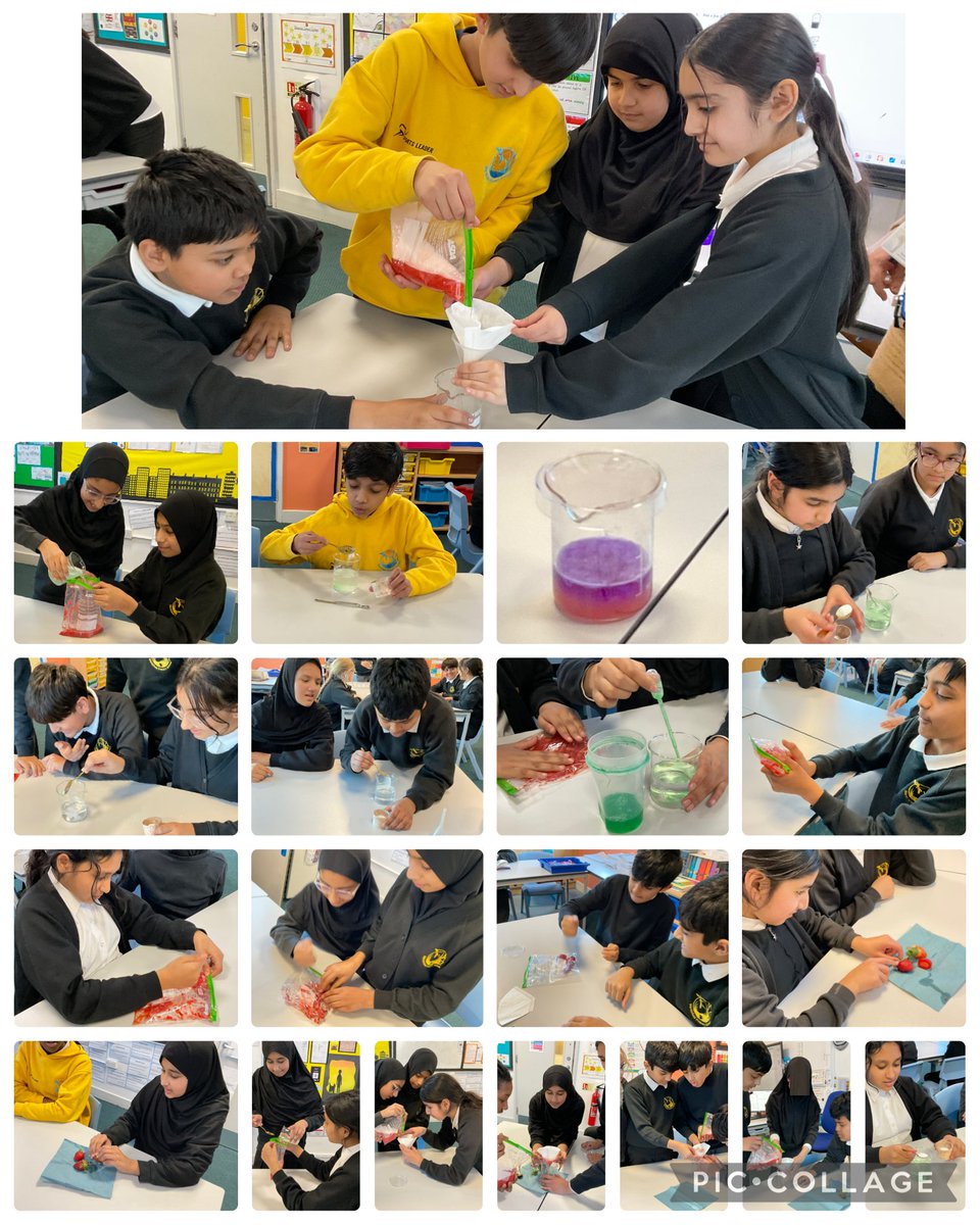 MarshfieldPS's tweet image. Science in action! 🧬🍓 Year 6 Stan Lee were captivated as they extracted DNA from strawberries in today’s experiment. A brilliant example of curiosity and ambition in the classroom. #MPSScience #Ambition @Curriculum_USP