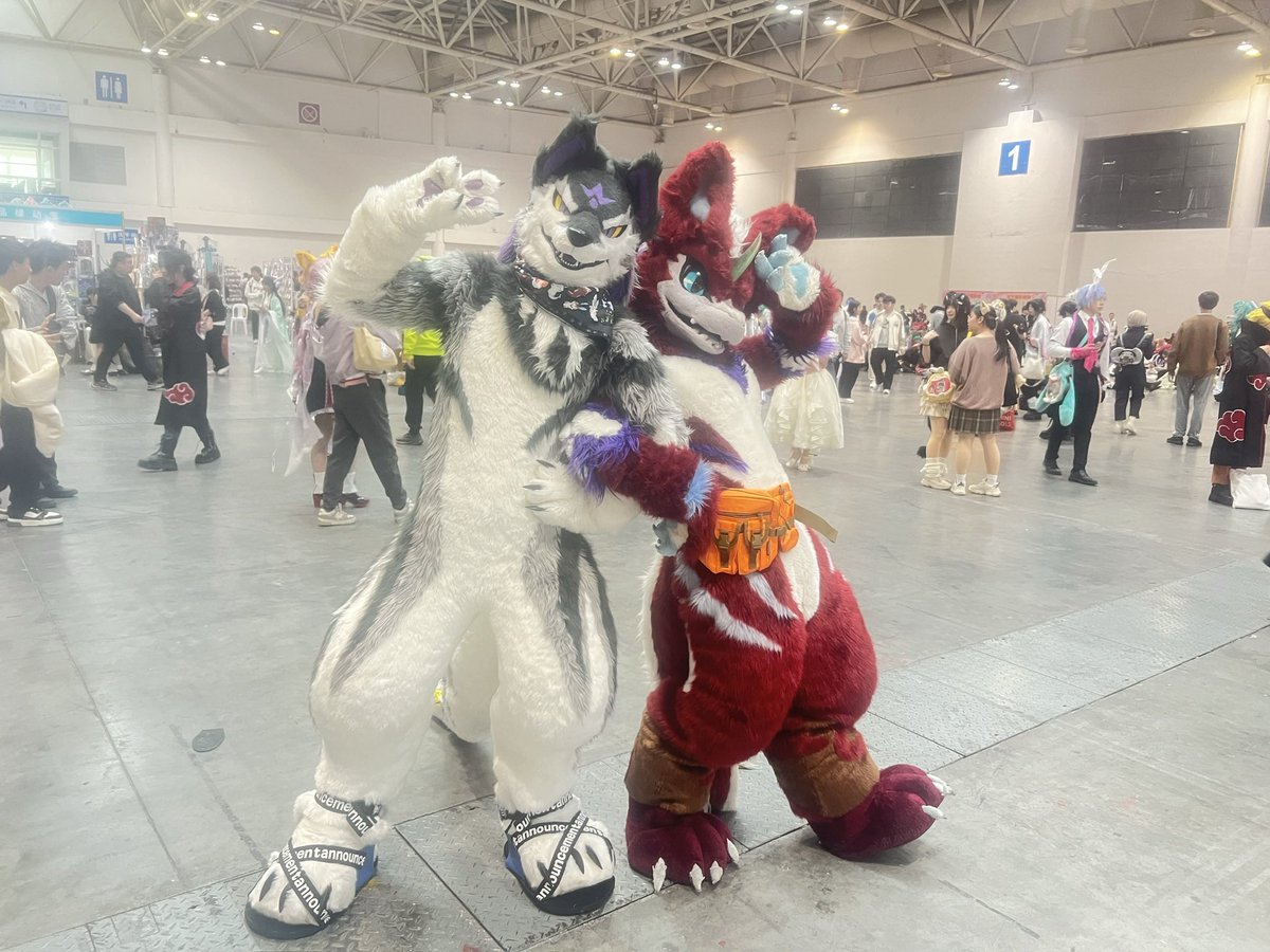 年过完了，又是自己一个人了，唉……只能看看照片回忆了