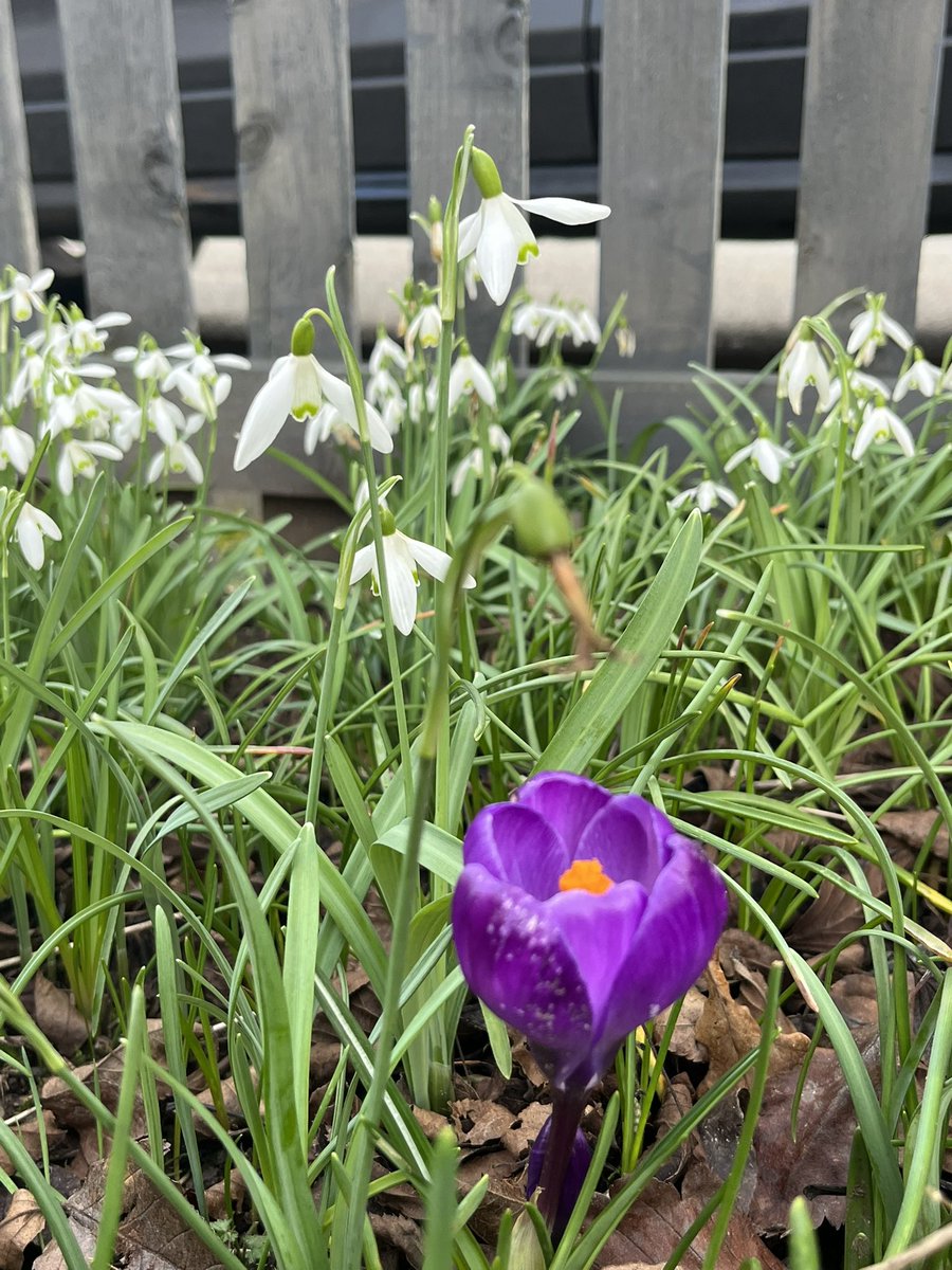 Wed Weather A cool start at 5c. The day will see a lot of sunshine and ...