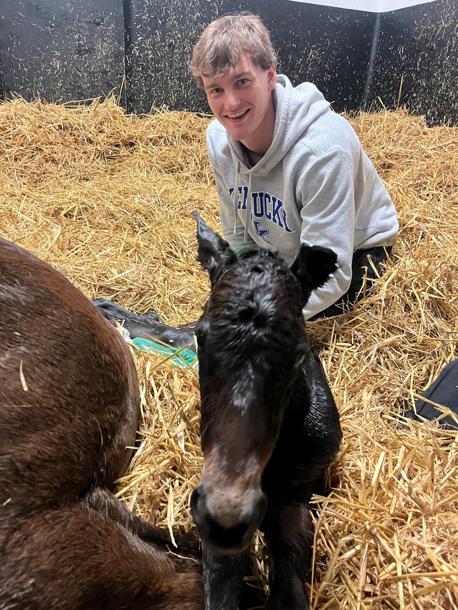 Irish National Stud tweet media