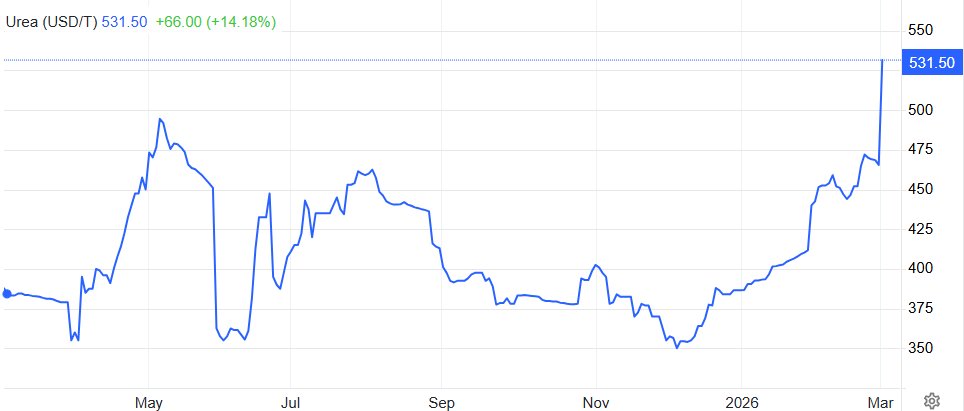 Jim McCormick tweet media