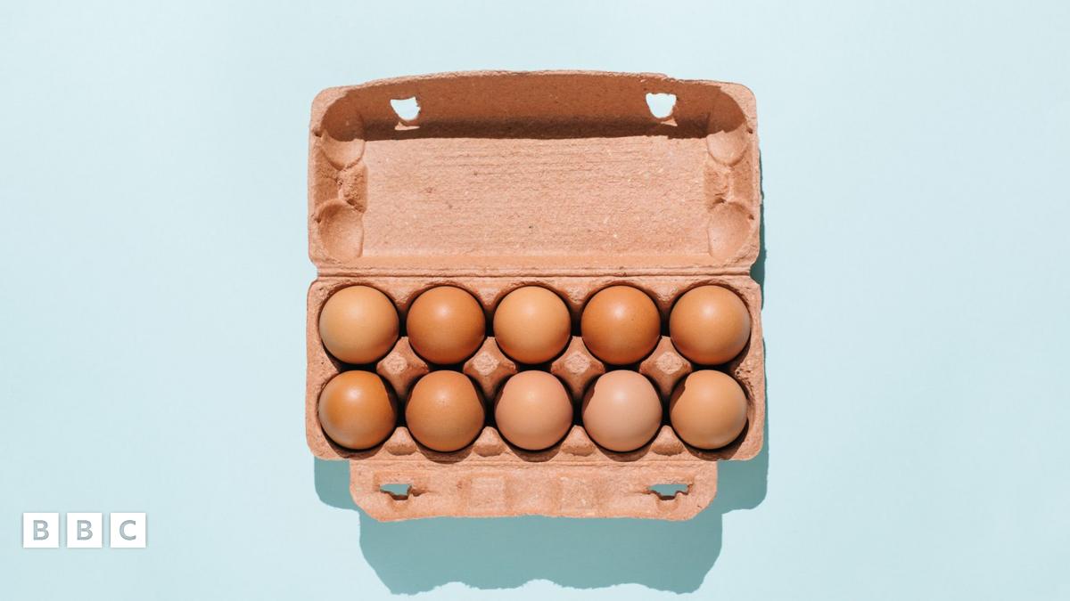 FitnessHacks101's tweet image. Did you know your protein needs change as you age? Discover how to adjust your nutrition for every stage of life. Read more: bbc.co.uk/food/articles/… 

#HealthyAging #ProteinPower #NutritionTips #FitnessHacks #WellnessJourney #ActiveLifestyle #EatSmart #HealthyLiving