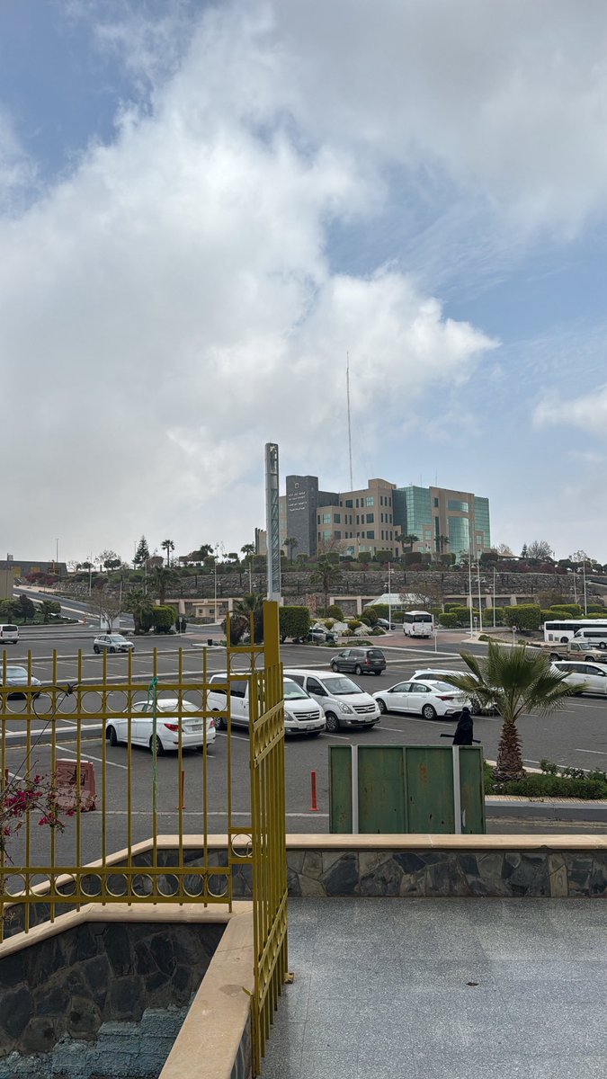 ARCH:Mashael tweet media