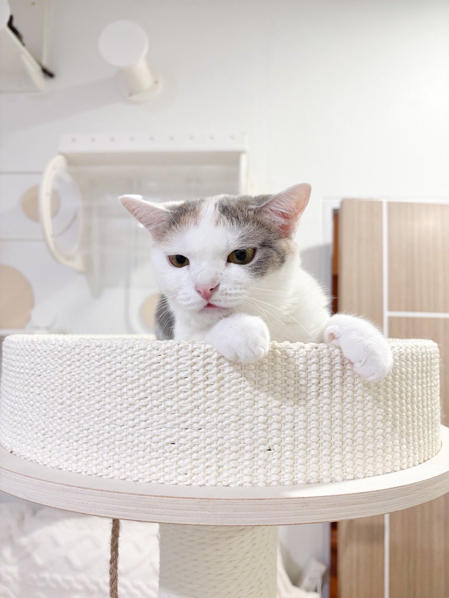 วีนอีกแย้วว