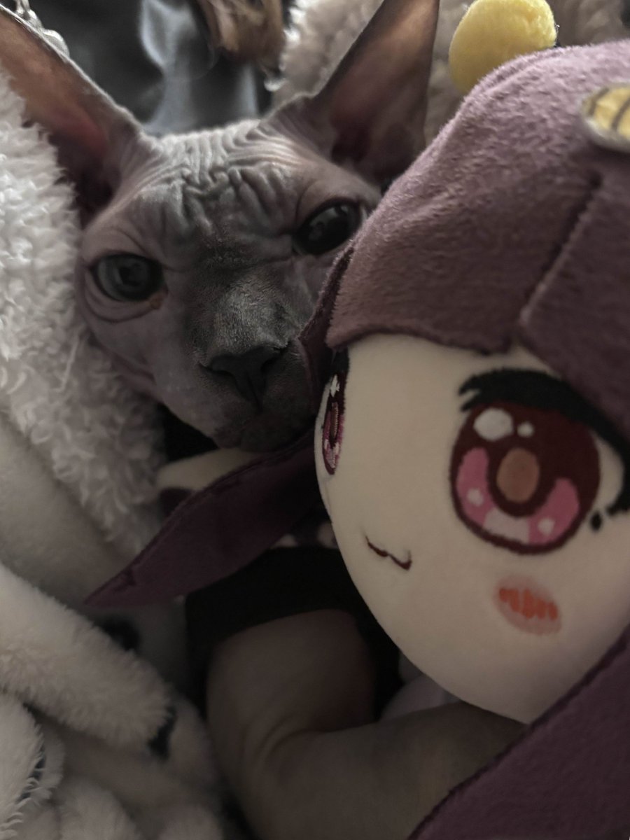 🎀 🍫 🔪 shondo || しゃどう || STRONGEST SCHIZOPHRENIC tweet media