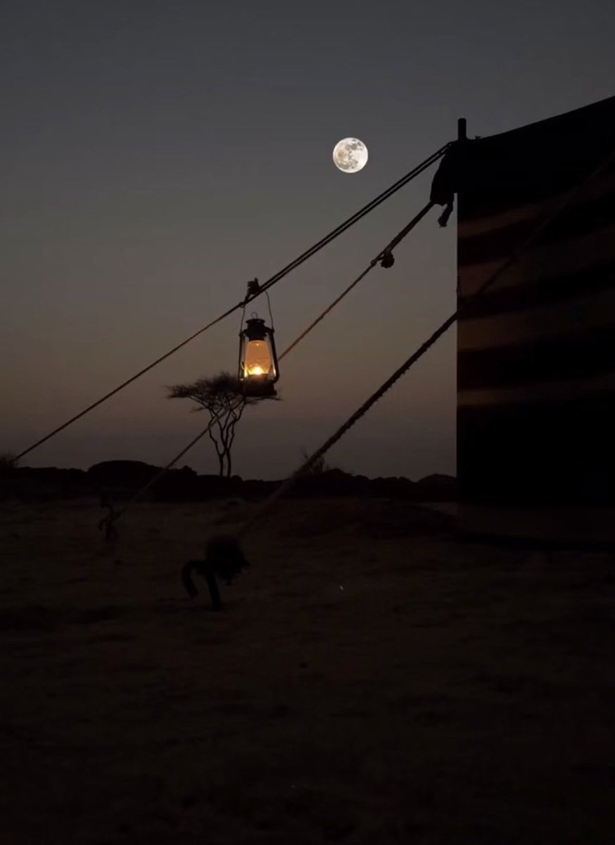 اللّهُـم أعطنا خير ما تعطي السائلين واجمع لنا صلاح الدنيا والدين واغفر لنا ولوالدينا ولجميع المسلمين.
#اقتباسات_سنابيه