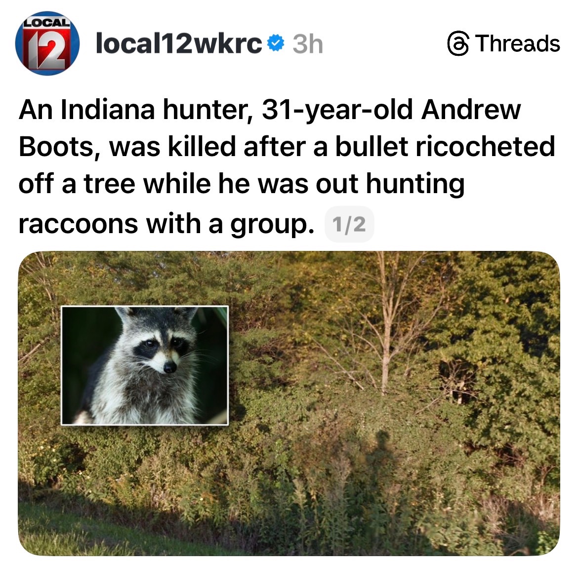 Goof on Sabbatical™ tweet media