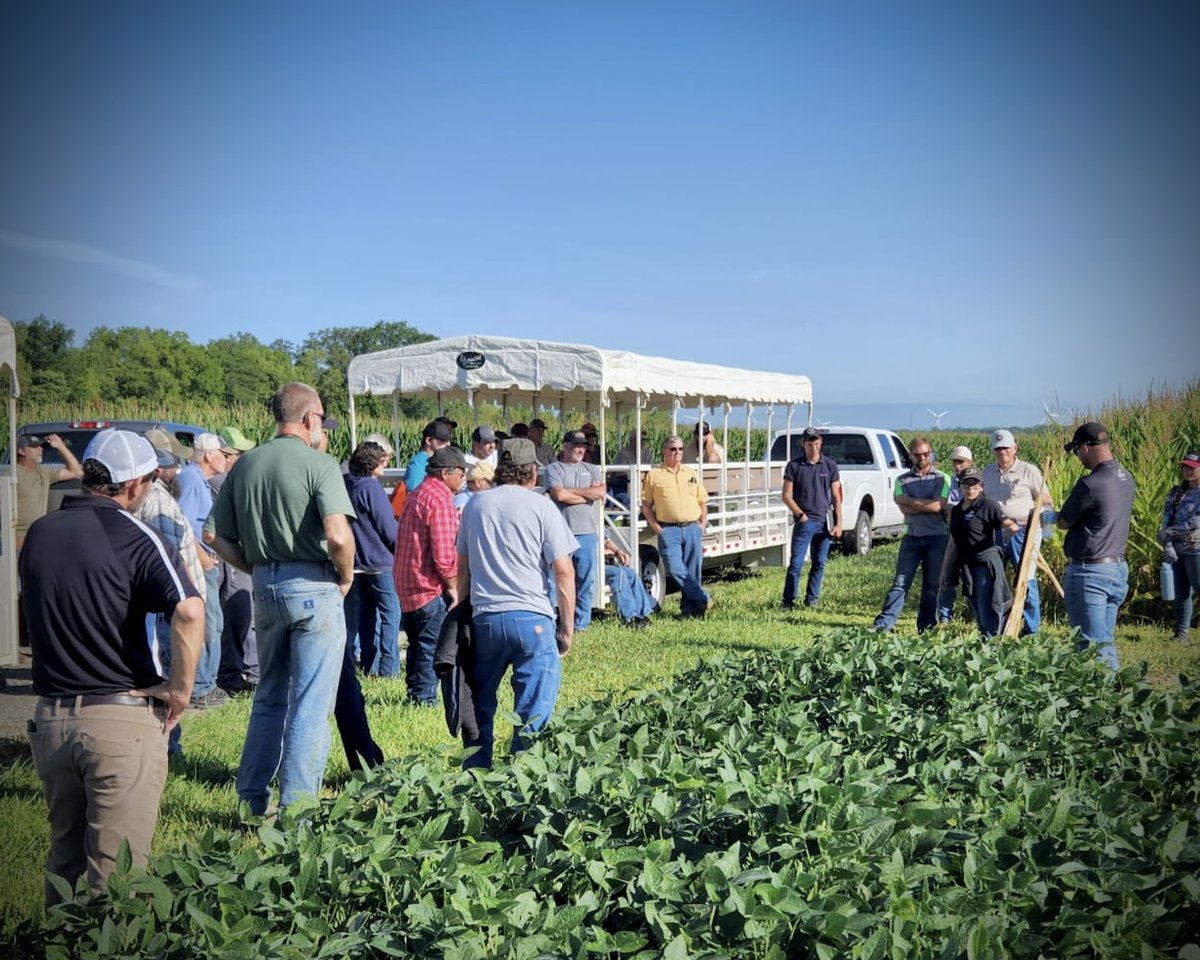 The Kernel Lab tweet media