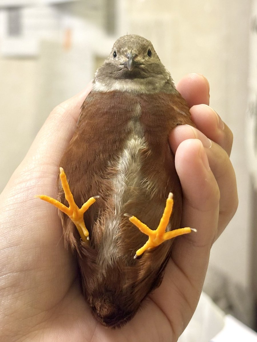 #自分が気に入ってる写真を1枚選んで無言で貼る