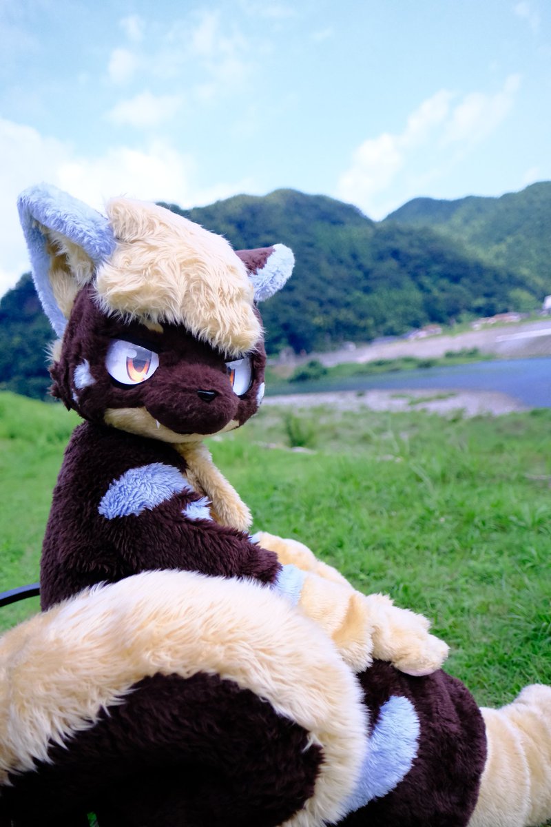 とらきち (@torafur_saku) on X