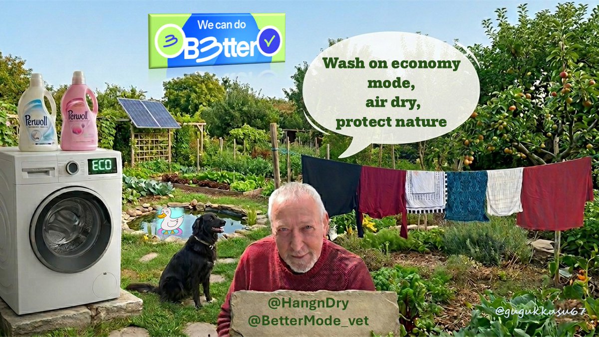 gugukkusu67's tweet photo. Less energy, more future. 
Cleaning in harmony with nature: Eco wash, outdoor drying. Small steps, big impact.
@HangnDry @BetterMode_vet #VeBetterDAO #VeChain #CleanPlanet #SustainableLiving https://t.co/BxGjRWAQVv