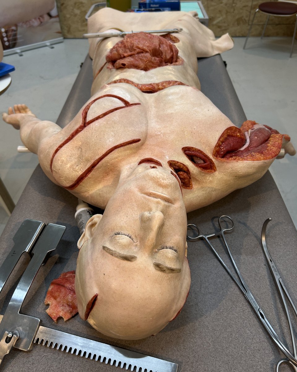 David Nott Foundation tweet media