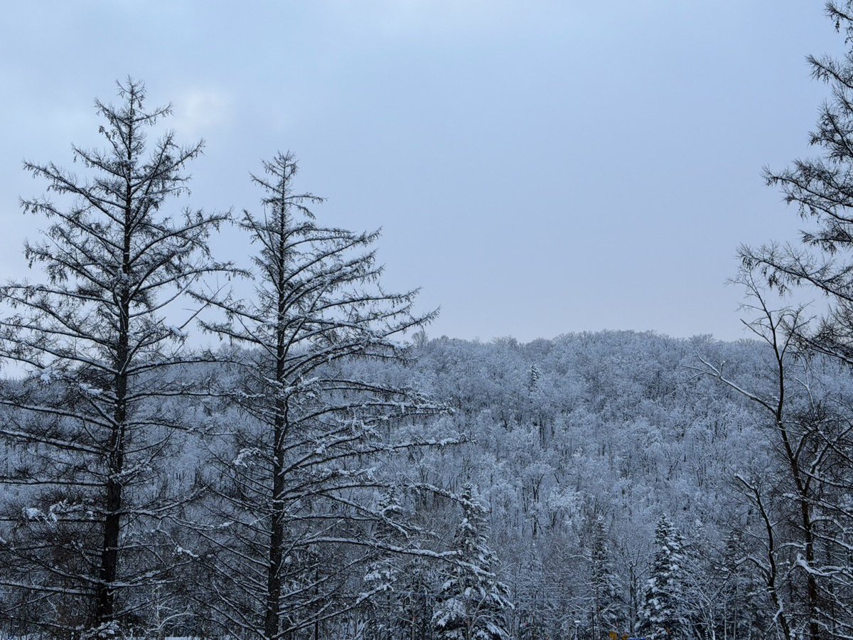 2026年
3月3日おとめ座♍️満月🌕皆既月食

ワームムーン

「満ち切り」　「方向転換」

生きとし生けるものが
幸せになりますように✨

今、あなた様にとって必要なエネルギーを送ります
祈ります✨

皆さまに沢山の笑顔が届きますように✨

＃スピリチュアル
＃乙女座満月
＃皆既月食
＃祈り