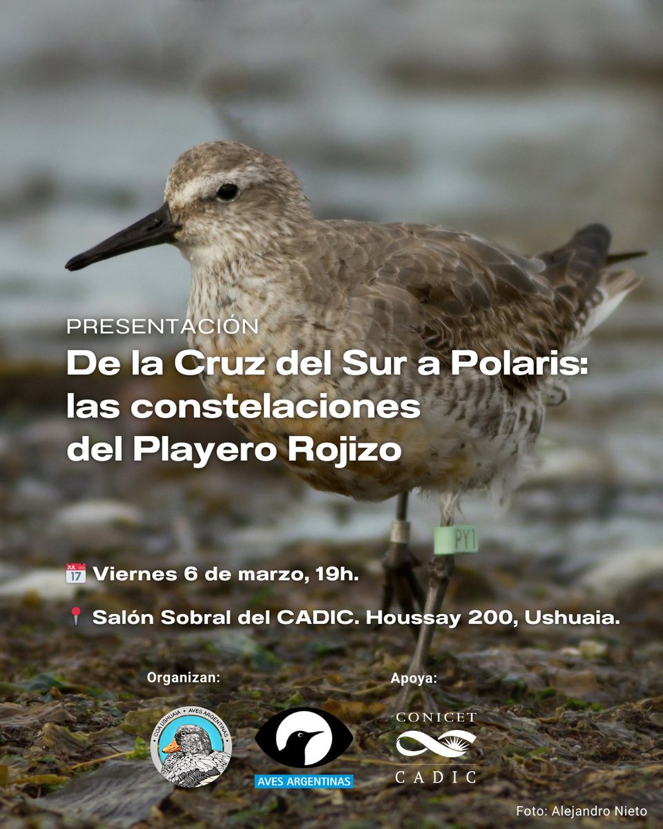 Cadic en Red tweet media