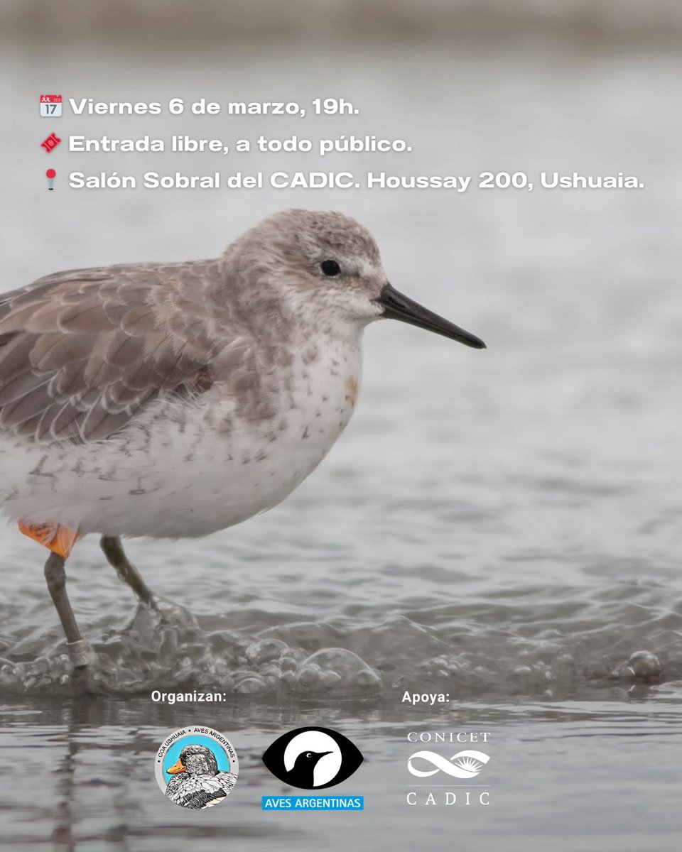 Cadic en Red tweet media