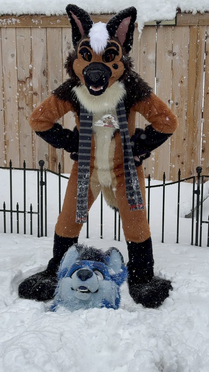 Malachi/Otto ❄️ 🎿 tweet media