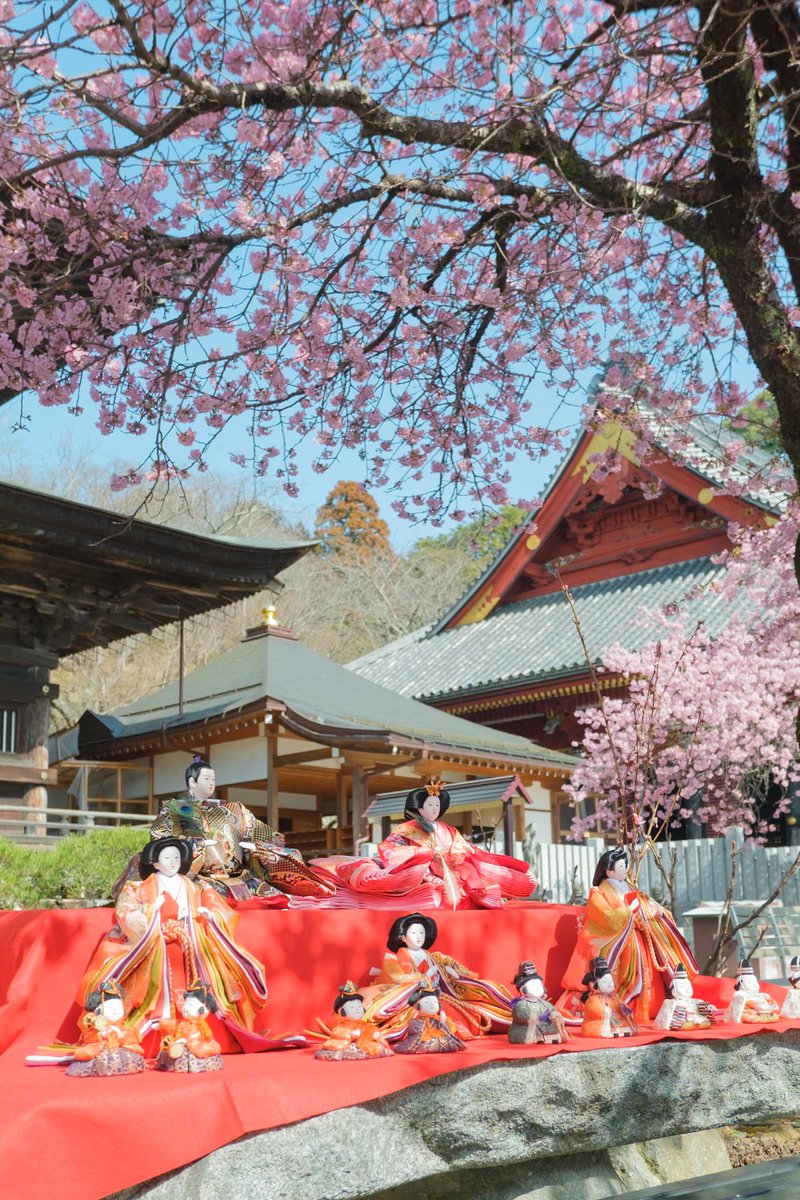 素晴らC。 赤と黒のモンキーがお雛様みたいでGOOD！