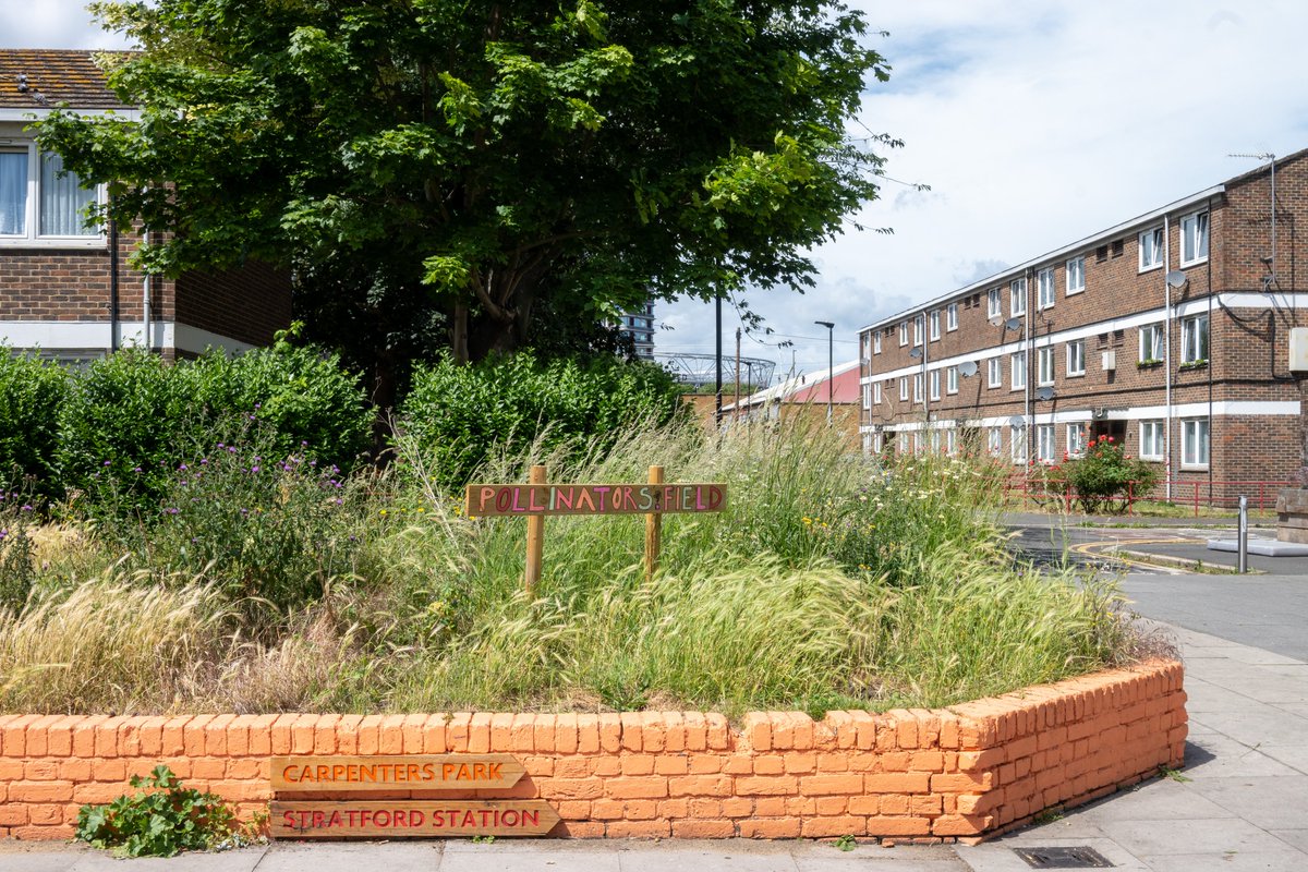 Populo Living tweet media