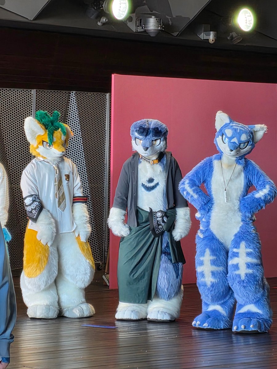 ゼーオス tweet media