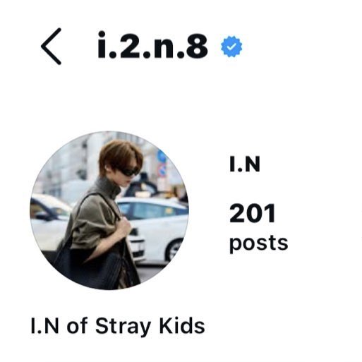 rest in peace ginger jeongin profile picture you will be missed… you served so well 💔💔