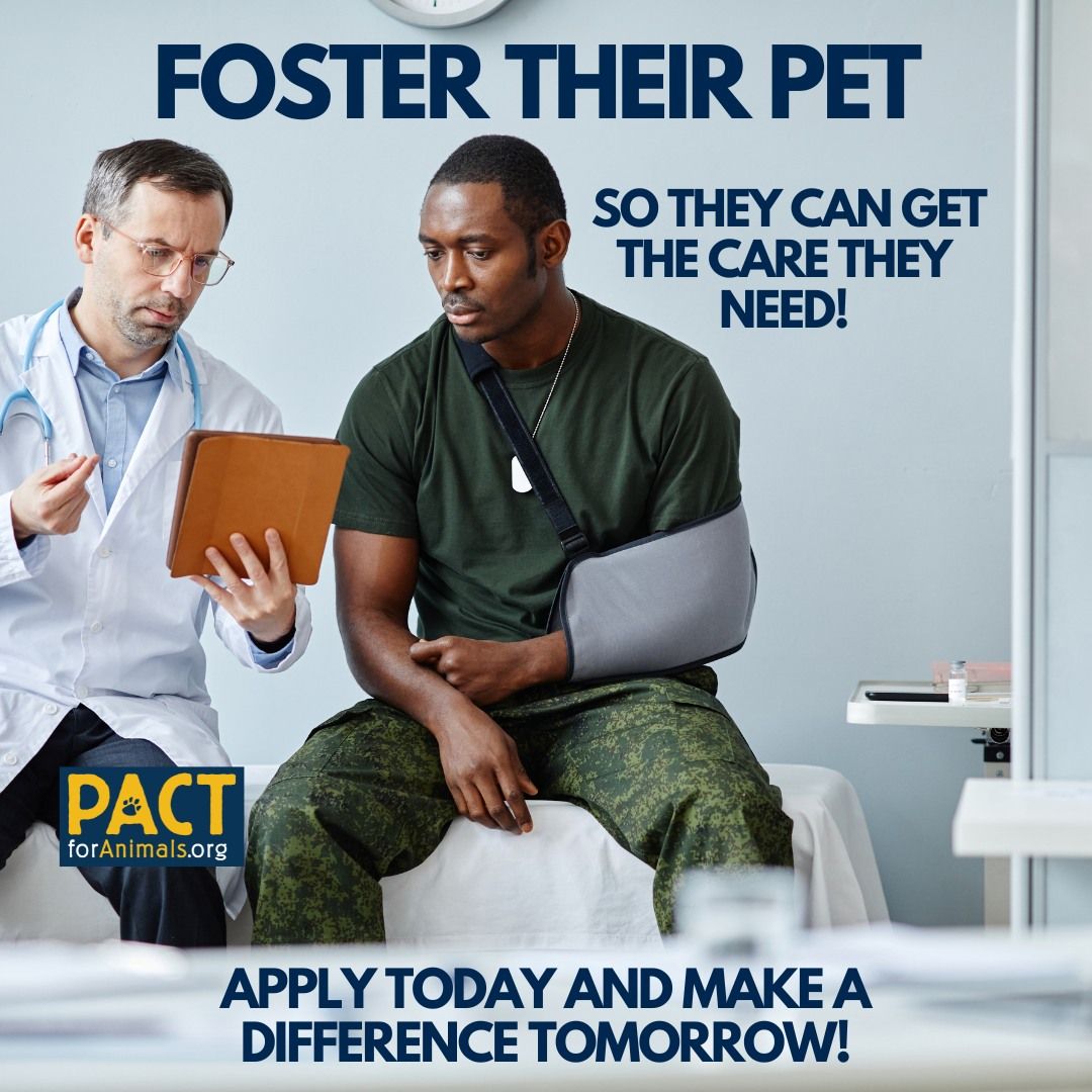 NOT_CFJ's tweet photo. #Veterans and service members are postponing treatments because they can’t find care for their pets.
By fostering, you give these heroes peace of mind
Apply https://t.co/uWG1BkmR2W
@pactforanimals
#PACTforAnimals #AnimalWelfare #PACTPet #FosterPet #MilitaryPet #MilitaryFoster https://t.co/ZNiBfhE6Oy