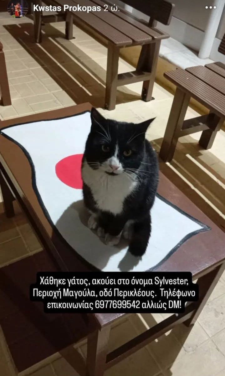 🆘🆘🆘#χαθηκε στην Μαγούλα 👇👇👇