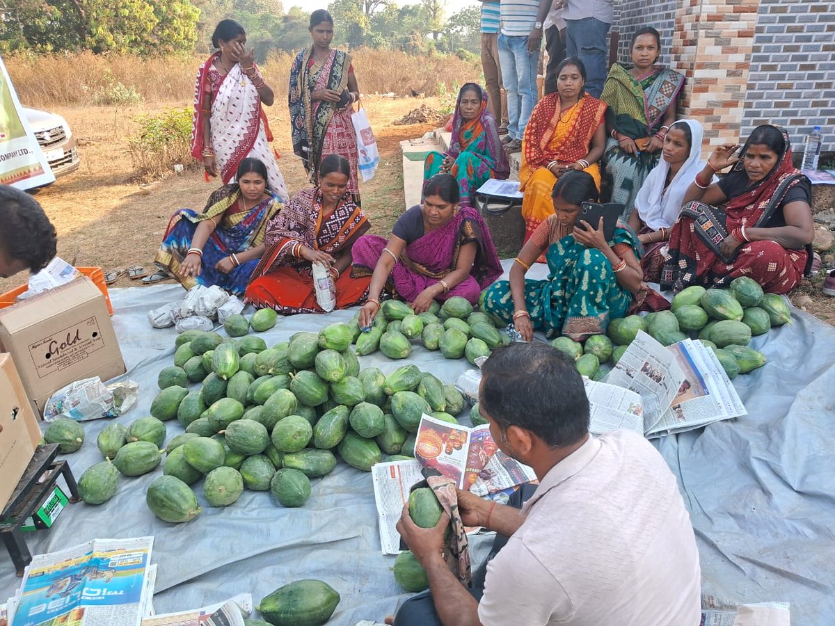 APC Program tweet media