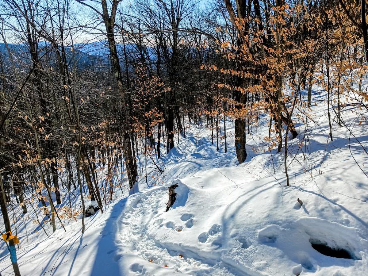Stonebridgecave's tweet photo. One more weekend to explore our trails... https://t.co/1VvxnJoNGQ