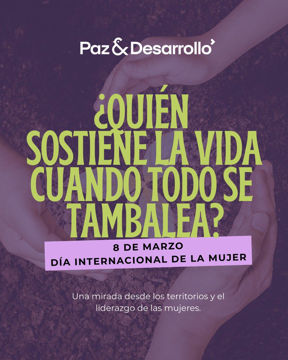 Paz y Desarrollo tweet media