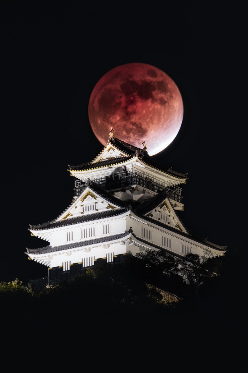 🌕🏯 Luna Roja sobre el Castillo de Gifu (Japón) hoy.
Foto: <a href="/hirography_321/">関岡 大晃 | Hiroaki Sekioka</a>