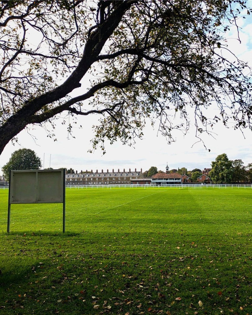 Jackson-Stops Sherborne tweet media