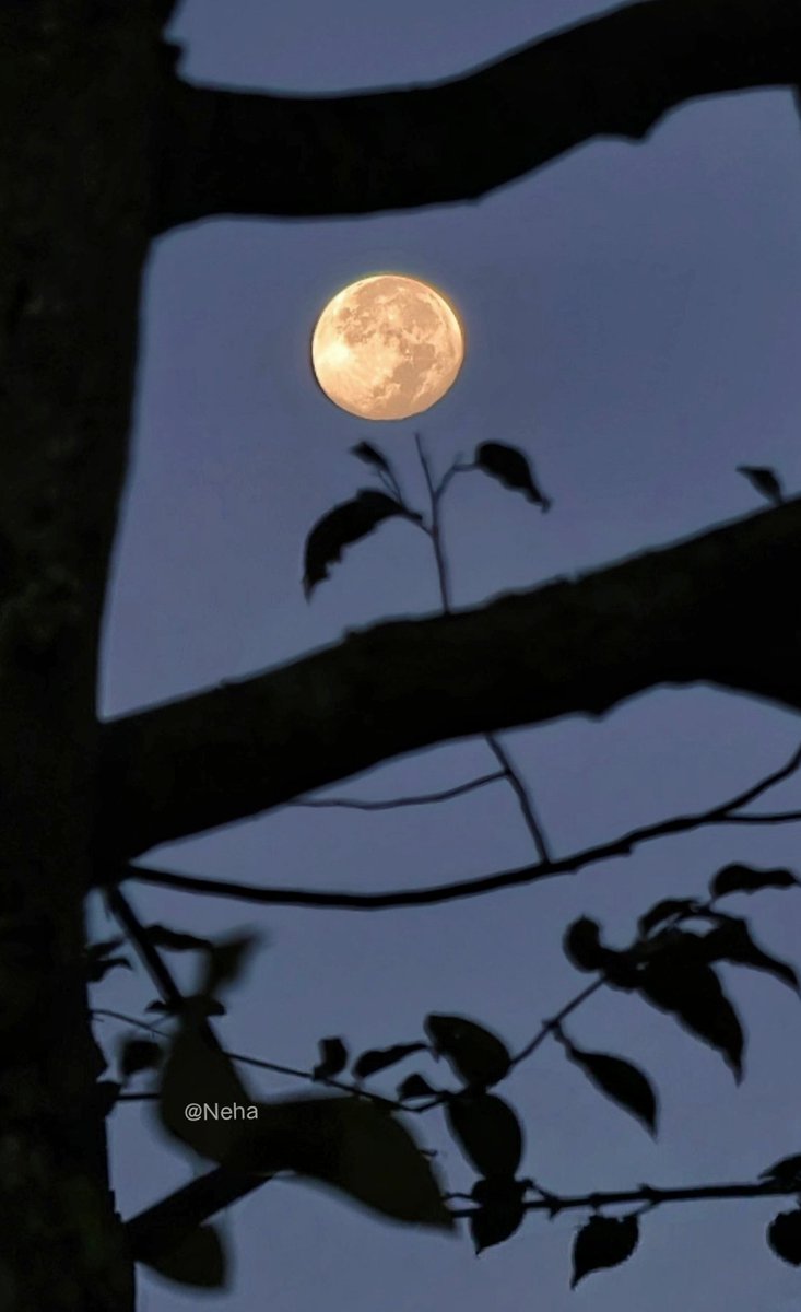 JustNeha____'s tweet photo. Some nights require no stars...
The full moon is sufficient.
A serene moment of stillness beneath the sky.
~Neha✨

#Selenophile 
#Fullmoon 🌕
#NehaClicks 📷 https://t.co/Q0UHgDh5WC