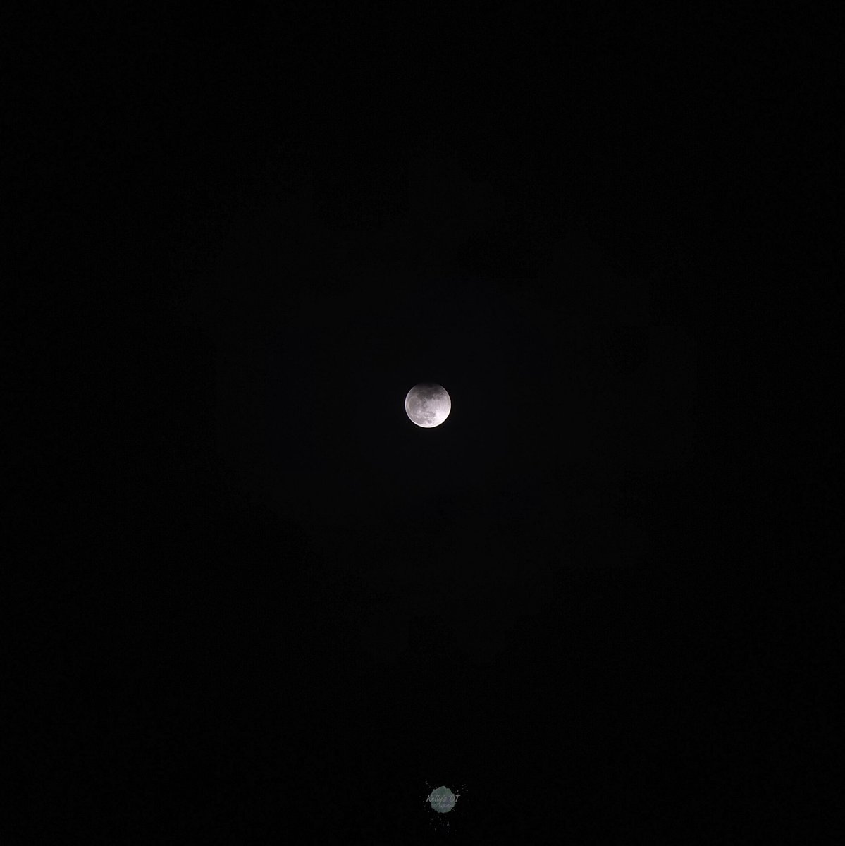 Kelly’s DT tweet media