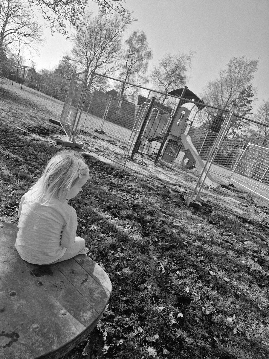 Dommel tweet media