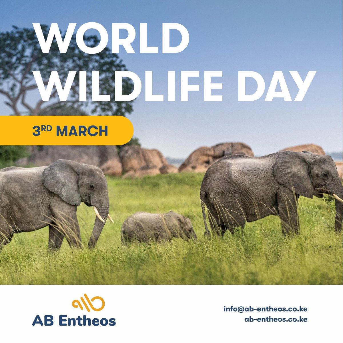 AB Entheos Ltd tweet media