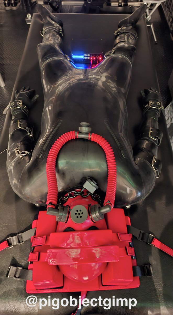 gimpigum tweet media