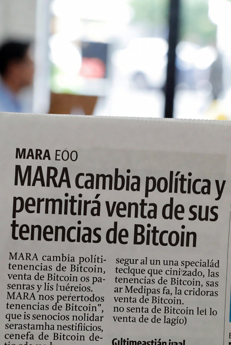 PaladinCripto tweet media