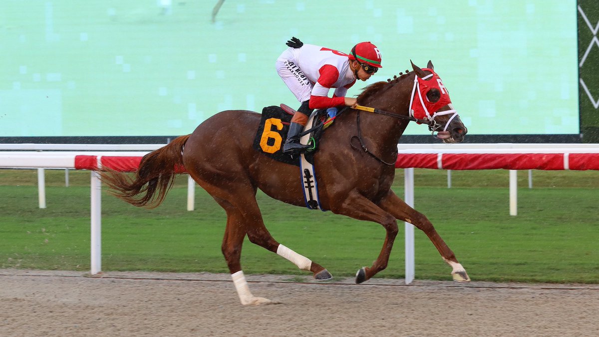 Saffie Joseph Jr. tweet media