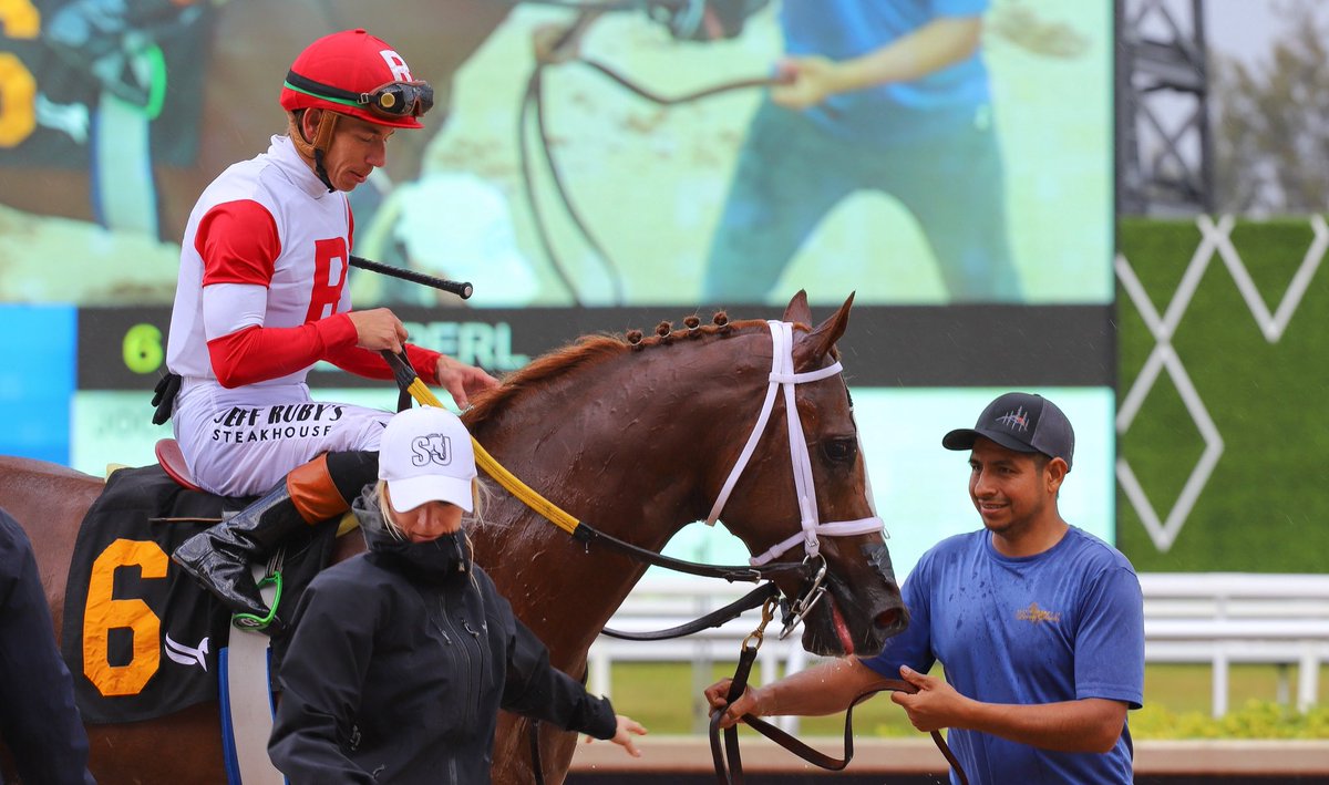 Saffie Joseph Jr. tweet media