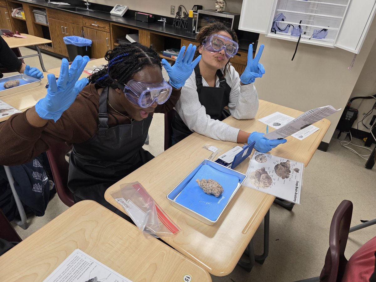 jlovescience's tweet photo. #WeAreGR
Brain dissection Anatomy &amp; Physiology 3/2/2026 https://t.co/VqY9HfiQZS