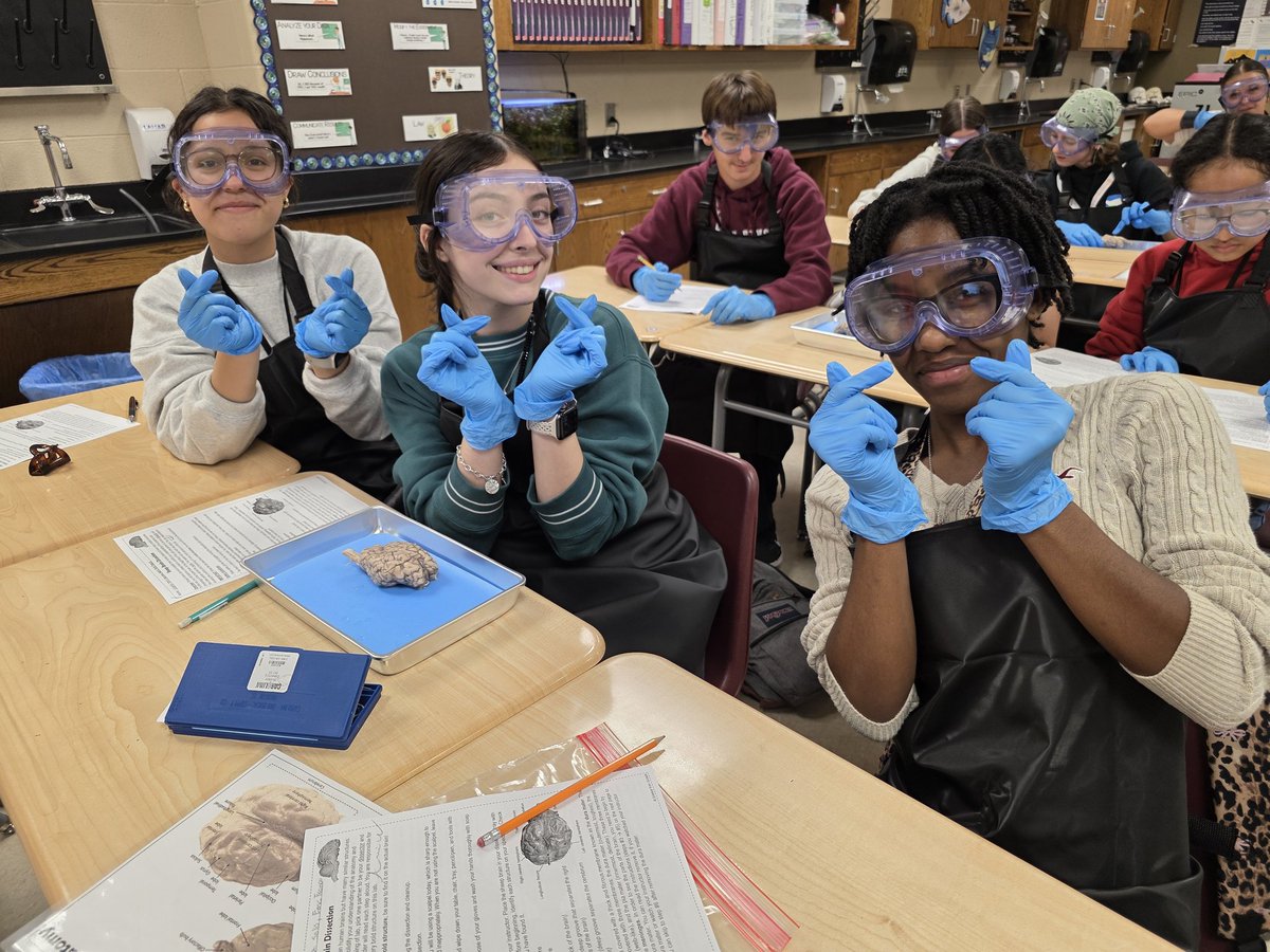 jlovescience's tweet photo. #WeAreGR
Brain dissection Anatomy &amp; Physiology 3/2/2026 https://t.co/VqY9HfiQZS