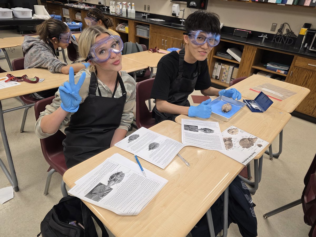 jlovescience's tweet photo. #WeAreGR
Brain dissection Anatomy &amp; Physiology 3/2/2026 https://t.co/VqY9HfiQZS