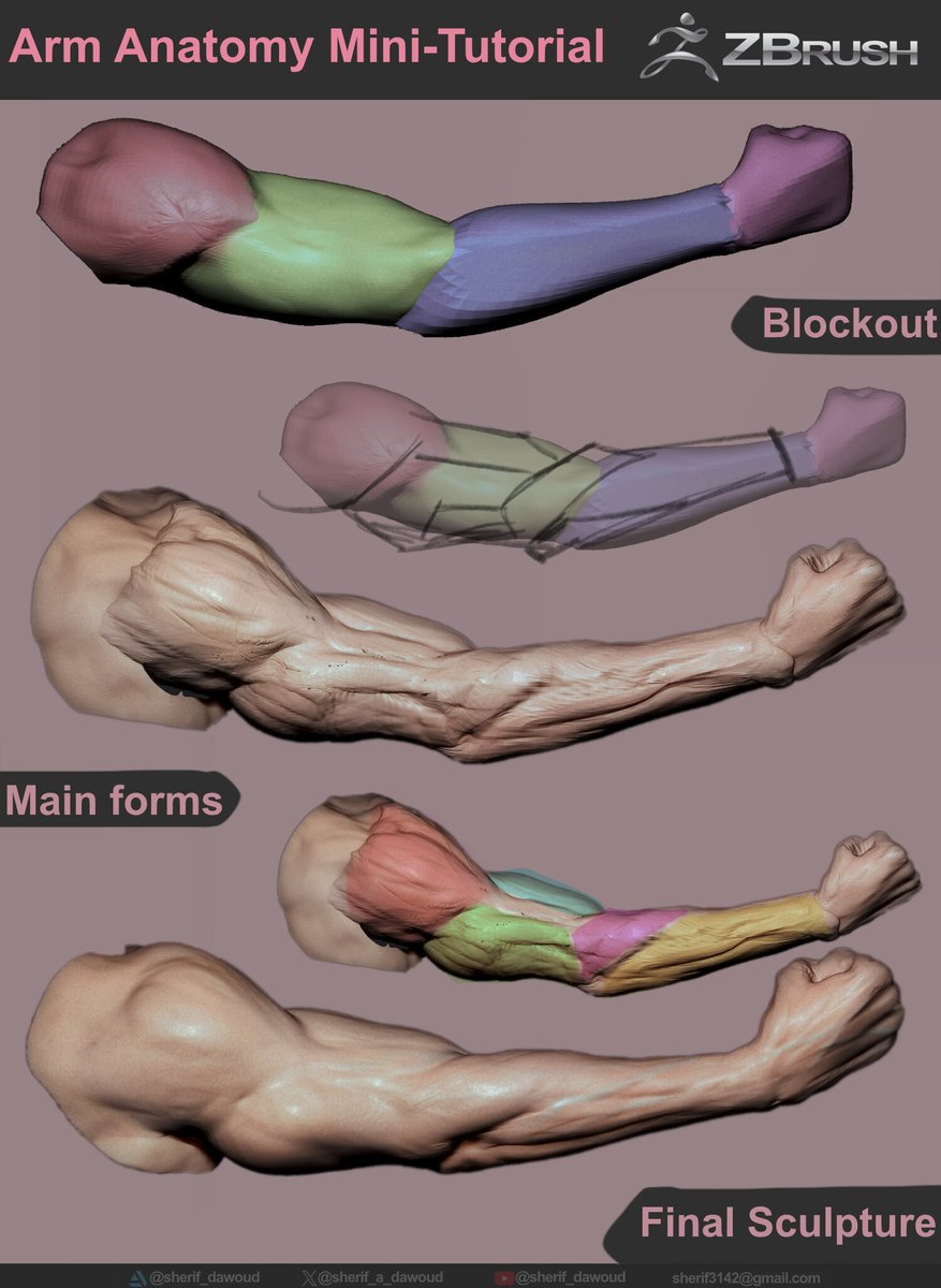 sherif_a_dawoud's tweet photo. arm anatomy https://t.co/dq4RZJUNeg