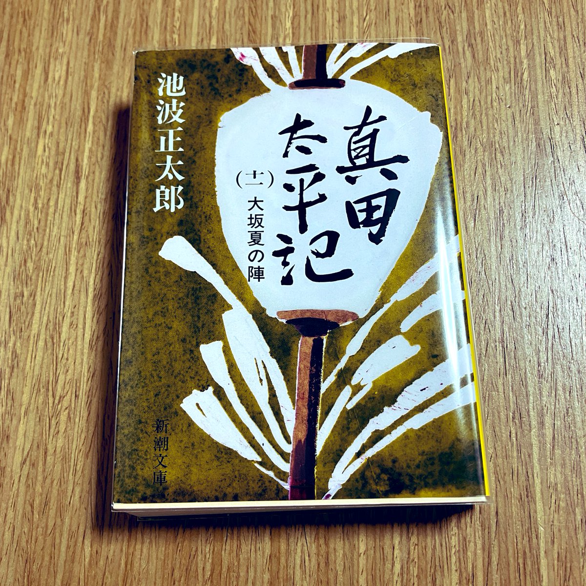 binchanbinchan_'s tweet photo. 真田太平記(十一) 
完結まであと2巻

制覇したら本命の「幸村を討て」を読みます。 https://t.co/EeBsK2Uq5o